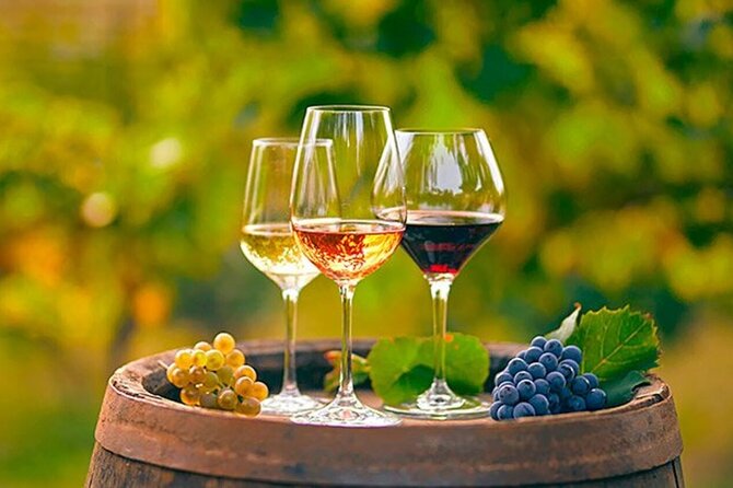 Alicante: Old Winery with Tastings & Gaudí's style of Church - What the small group changes
