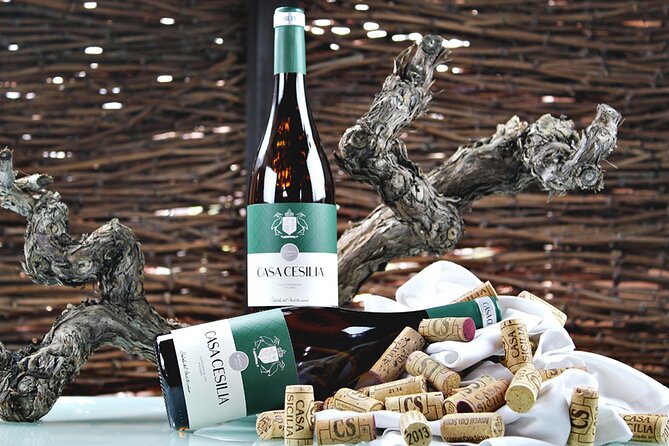 Alicante: Old Winery with Tastings & Gaudí's style of Church - The drive to Novelda and the first sights