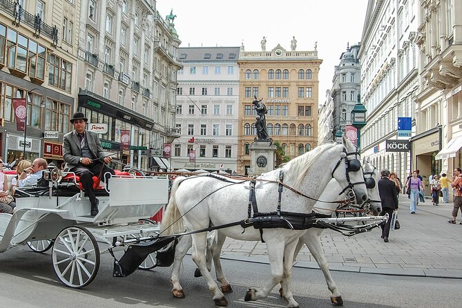 An Architectural insight of Vienna on a Private Tour with a local - Starting at Stephansplatz in Vienna’s historic center