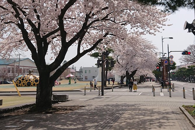 [Aomori Prefecture] Tour the history and architecture in Towada City, the art city - Key Points