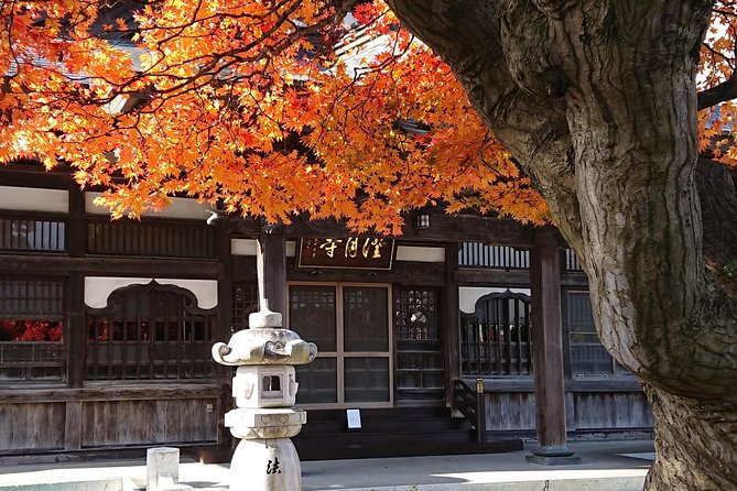 [Aomori Prefecture] Tour the history and architecture in Towada City, the art city - Sou Fujimoto’s Towafuru