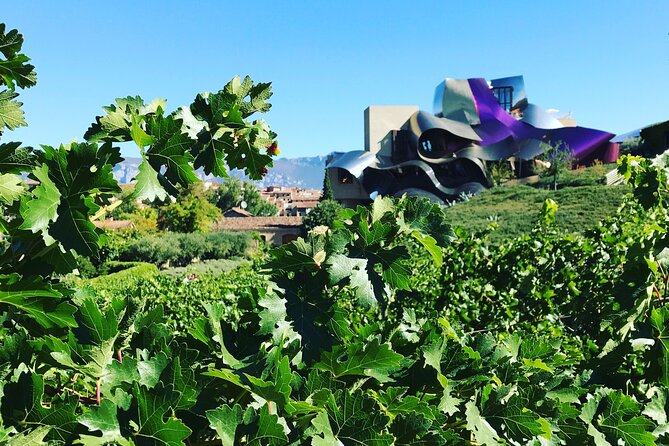 Architectural Rioja Small Group Wine Tour with Lunch from Bilbao - What is included for $296.30?