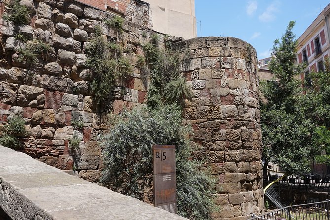 Barcelona in One Day: Gaudí, Gothic Quarter &Tapas (Private Tour) - Tapas, walking distance, and the real pace