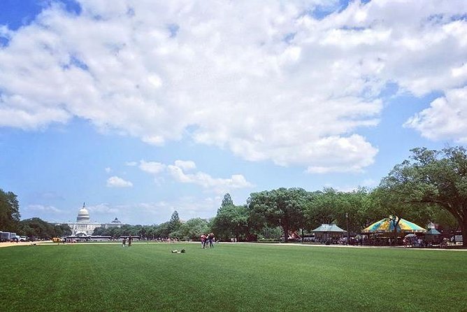 Castle to Capitol: Museums of the National Mall Architecture Tour - Finishing with the Capitol and Mall views