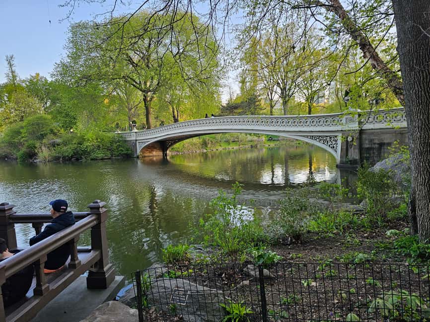 Central Park, NY: Nature, Architecture and Movie Scenes Tour - Carriage turns and the city’s old elite