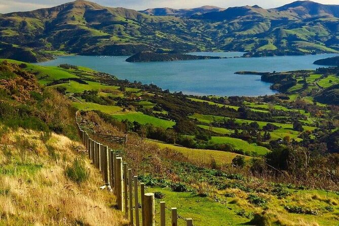 Christchurch Architectural Marvels: Private Walking Tour - What the private format is worth