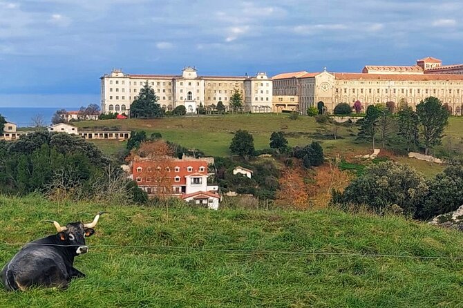 Comillas, Modernism & Gaudi with entrance tickets -small groups - The old fishing port and Comillas’ working past