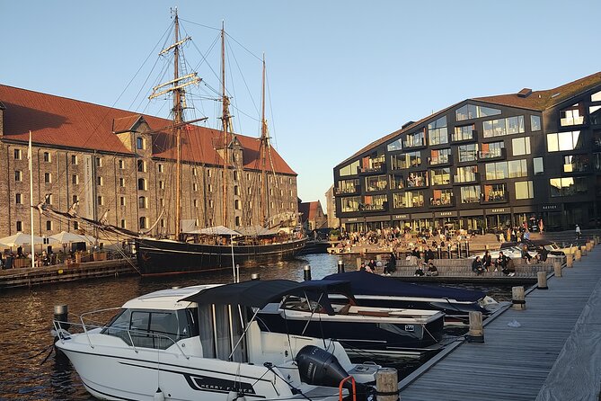 Copenhagen: Harbor Architecture Private Walking Tour - The Danish Architecture Centre and the tour’s natural finale