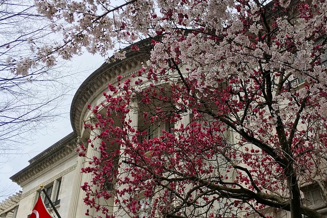 Dupont Circle and Embassy Row Architectural Walking Tour - Anderson House and the Society of Cincinnati
