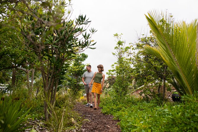 Explore the legacy of artist, ecologist, architect, visionary - Self-guided entry or the one-hour guided tour