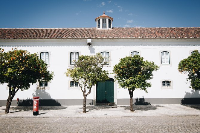 Faro Private Walking Tour: Uncovering its Architectural Legacy - What the private format really adds