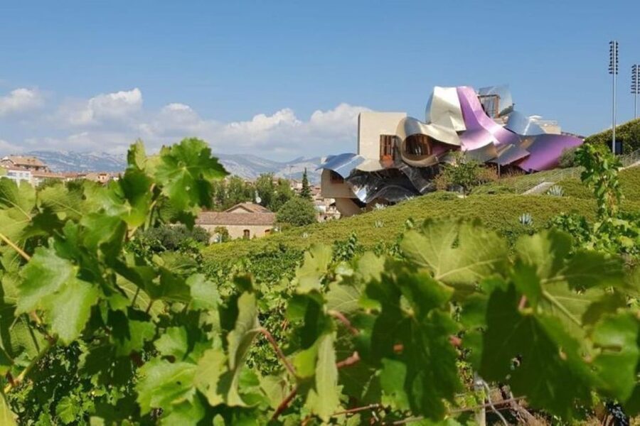 From Bilbao: Rioja Architecture and Wine Tour - Why this Rioja day trip works so well from Bilbao