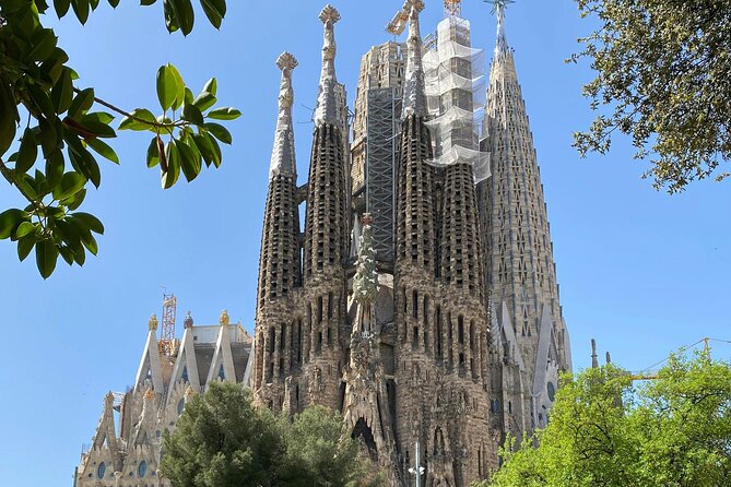 Gaudí and Sagrada Familia Private Tour in Barcelona - What a Private Guide Adds