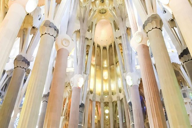 Gaudí Essential : Sagrada Familia Guided Tour - What the guide adds, and where the tour may fall short