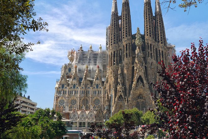 Golden Hour in Gaudi's Sagrada Familia with expert Guide - The interior and the golden-hour effect