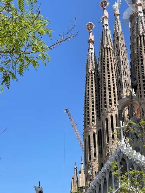 Guided Tour of Sagrada Familia - Gaudi's dream - Dress rules and entry details to take seriously