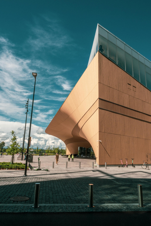 Helsinki: Architectural Highlights Guided Walking Tour - Aalto, commerce, and the Central Station
