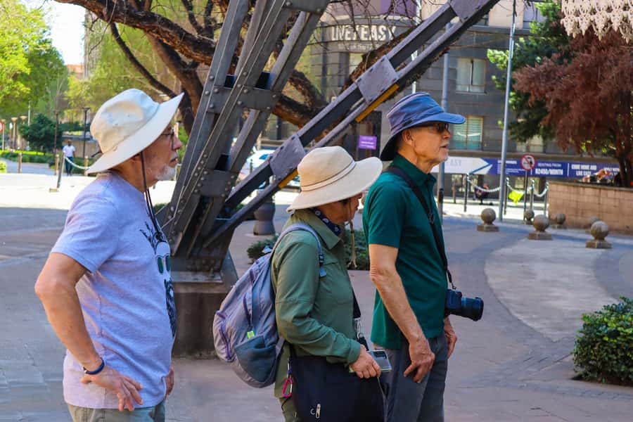 Johannesburg: Architectural Walking Tour - Key points at a glance