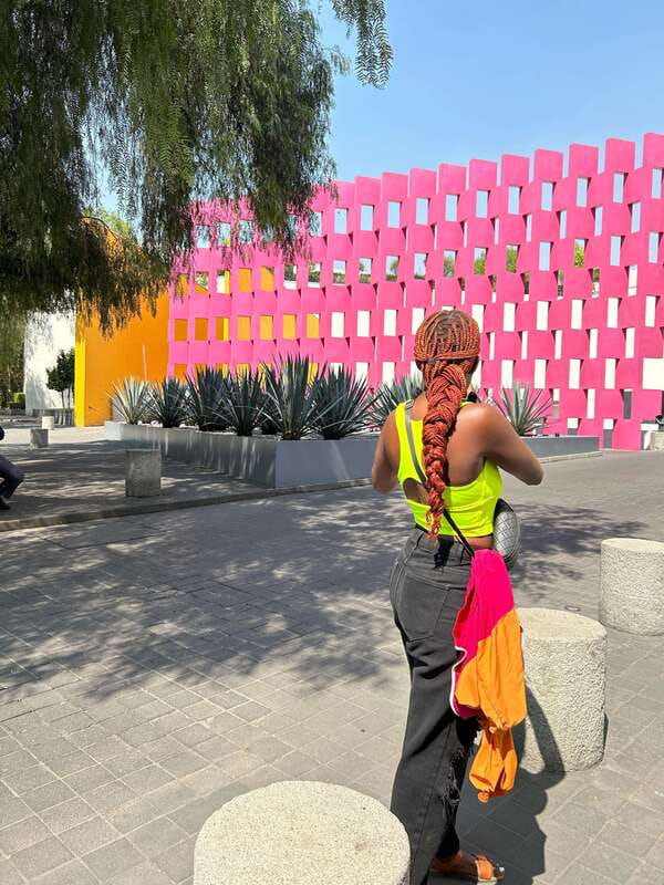 Mexico City: 1960s &1970s Mexican Architecture Walking Tour - Key points to know before you book