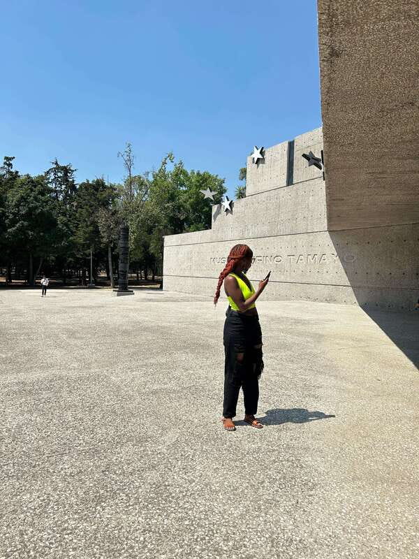 Mexico City: 1960s &1970s Mexican Architecture Walking Tour - The Tamayo Museum and architecture in conversation with nature