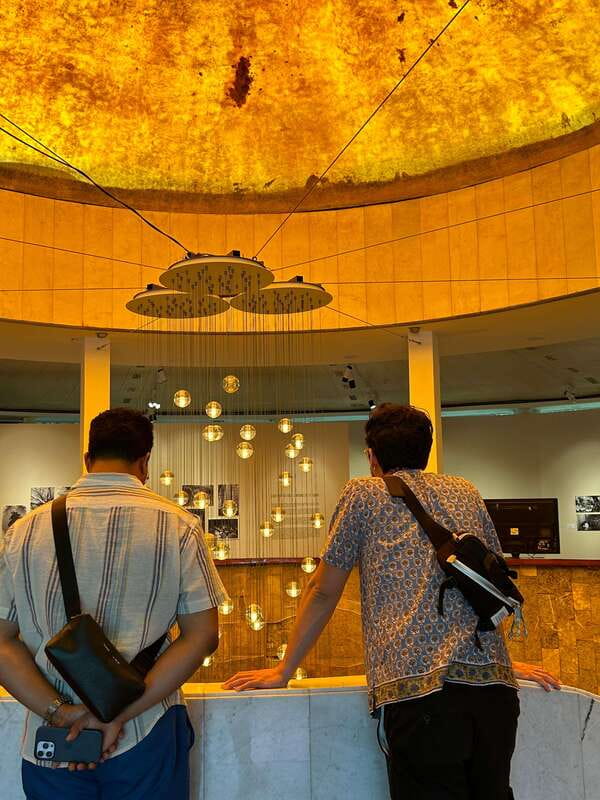 Mexico City: 1960s &1970s Mexican Architecture Walking Tour - What the guide adds to a three-hour walk