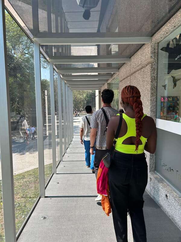 Mexico City: 1960s &1970s Mexican Architecture Walking Tour - Who should book this architecture walk?