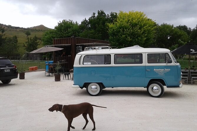 Napier and Hawkes Bay Scenic and Art Deco Tour by VW Kombi - Why the Kombi makes this tour different