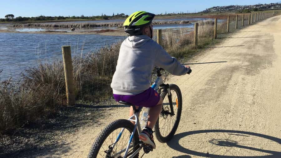 Napier: Art Deco Bike Ride and Wineries Loop - Starting in Ahuriri, where port and water meet
