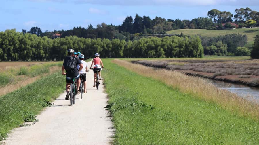 Napier: Art Deco Bike Ride and Wineries Loop - The coastal path and views toward Cape Kidnappers