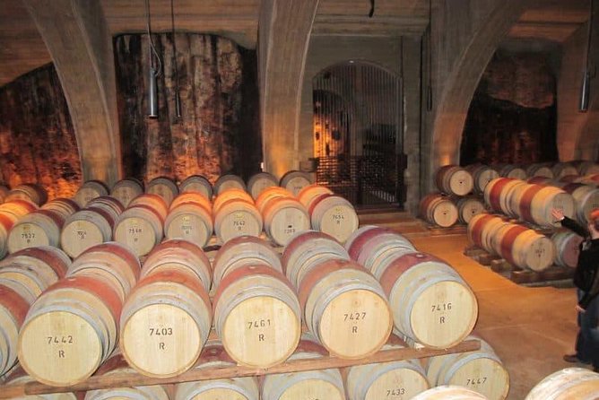 Napier Shore Excursion: Wine & Art Deco Tour - Key points to know before you book