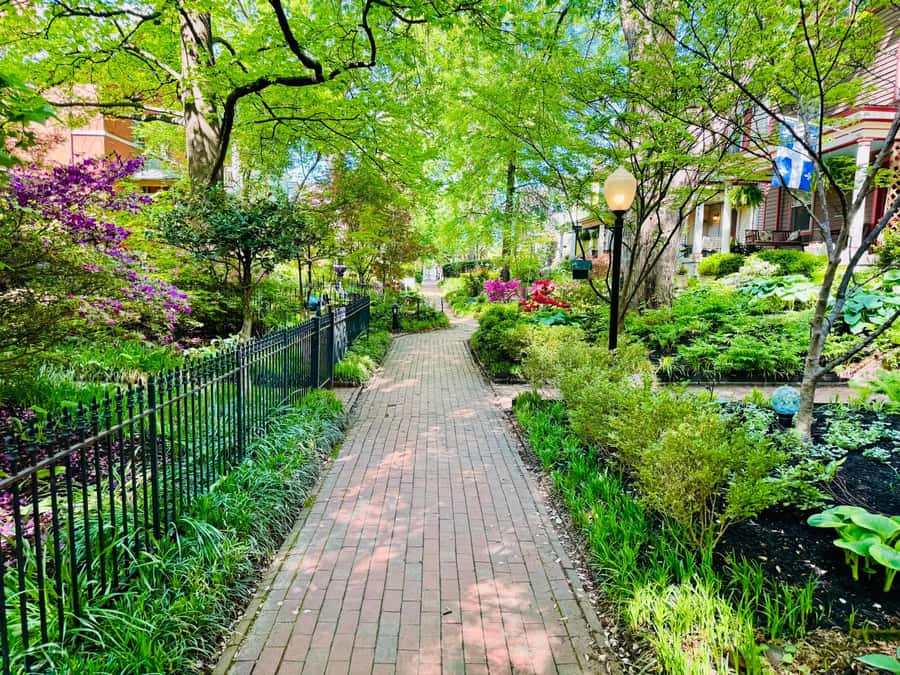 Old Louisville: History and Architecture Walking Tour - Key points to know before you go