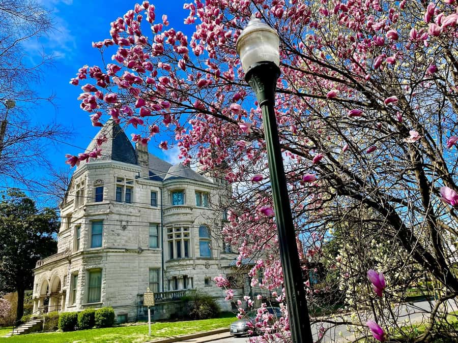 Old Louisville: History and Architecture Walking Tour - Central Park and the end of the route