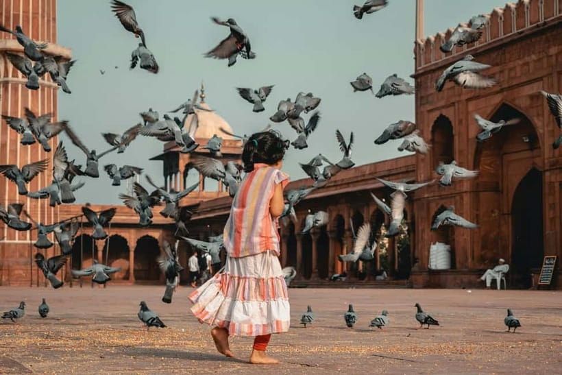 Old & New Delhi Culture & Architecture City Private Tour - India Gate, Parliament, and Rashtrapati Bhavan