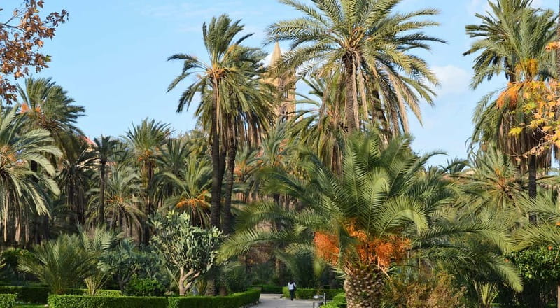 Palermo: Art and Architecture Walking Tour - Palermo’s story begins on foot