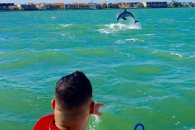 Private Dolphin & Architecture Tour in St. Petersburg, Fl - Why Captain Joe matters to the experience