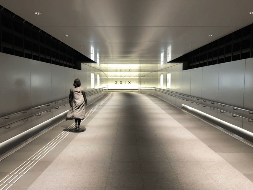 Private Ginza Architecture Tour - The Japanese Metabolism movement in Ginza