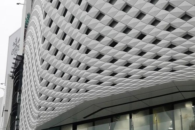 Private Ginza Architecture Walking Tour - Brand buildings as design statements