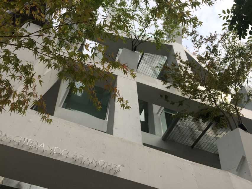 Private Harajuku Omotesando Architecture Tour - The Iceberg, Dior, and Louis Vuitton