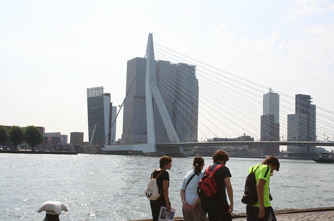 Private Rotterdam Walking Tour - guided by Architects - Price, private format, and value