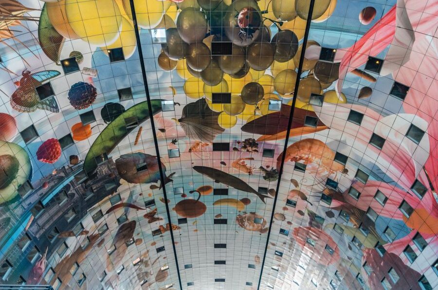 Rotterdam: Architectural Highlights Guided Walking Tour - Why Rotterdam Needs an Architecture Walk