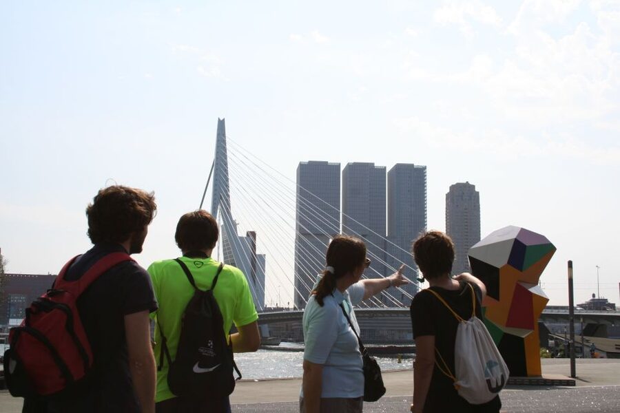 Rotterdam: Architectural Highlights Guided Walking Tour - Inside the Markthal