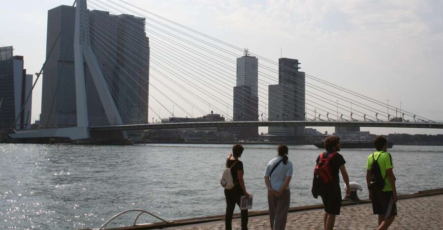 Rotterdam: Architectural Highlights Guided Walking Tour - What the $53 Price Buys You