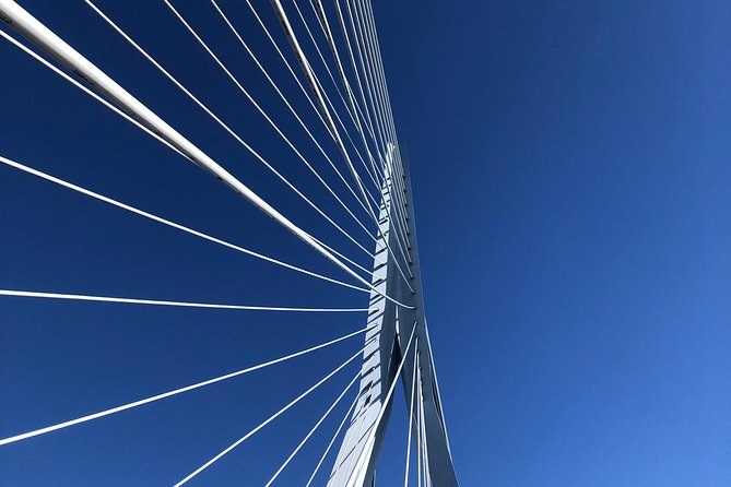 Rotterdam Architecture Highlights Walking Tour - Price, pace, and practical value