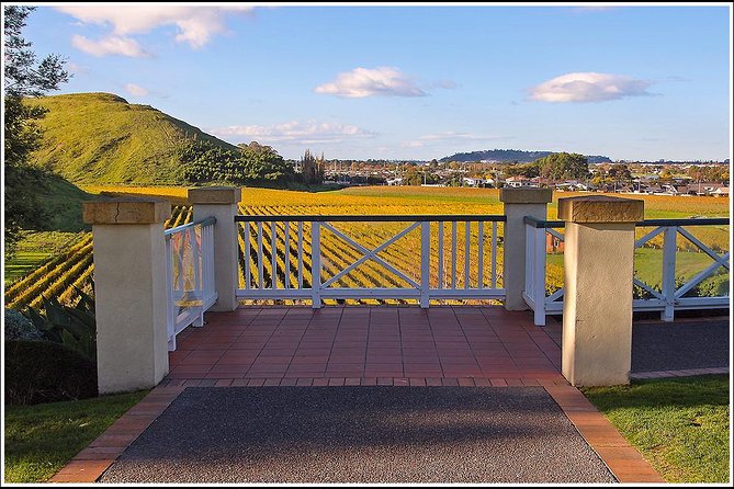 Shore excursion - Napier sight seeing/Art Deco Tour, - A minibus tour built for limited port time