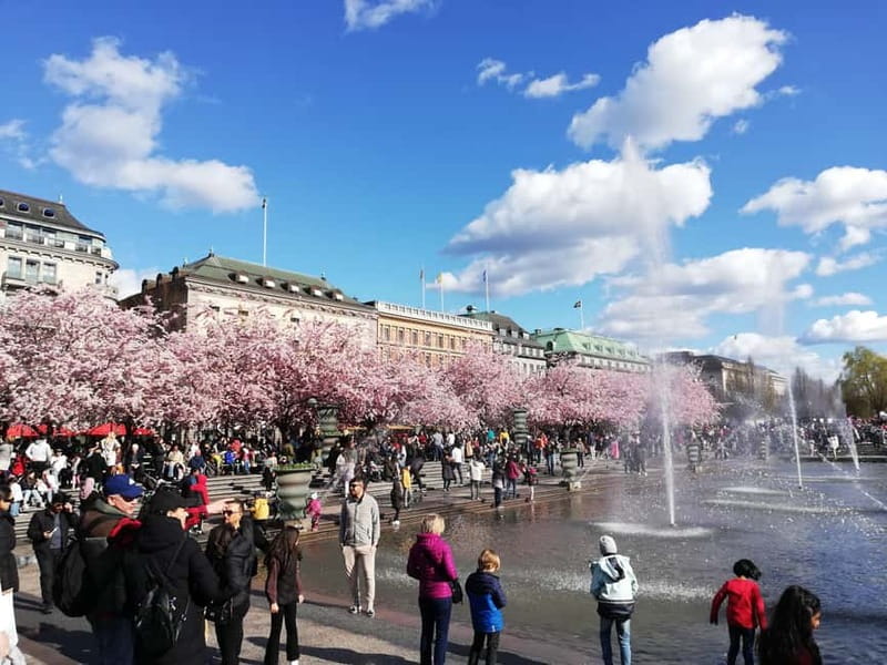 Stockholm: Scandinavian Architecture & Design Ostermalm Tour - Stureplan and the New City in 30 minutes