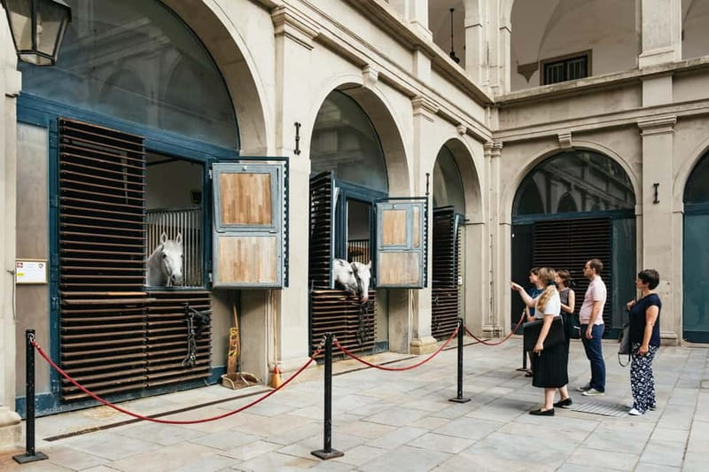 Vienna: Spanish Riding School Guided Architectural Tour - Starting at Michaelerplatz and entering the school
