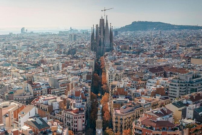 Wonders of Gaudi: Park Guell & Sagrada Familia Private Tour - Park Güell: mosaics, gardens, and wide city views